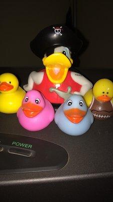 Part of my duck Collection.