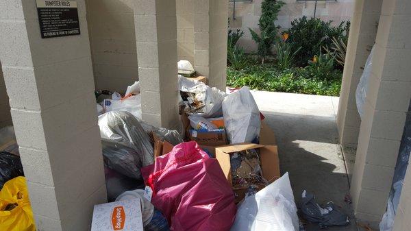 This is a photo taken on 12/26/2016 of the daily mess left by this company at Alexan Melrose apartments