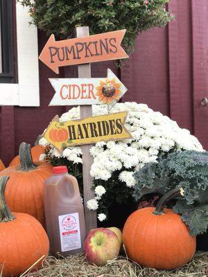 Stop I for some fresh local Apple cider from Soons