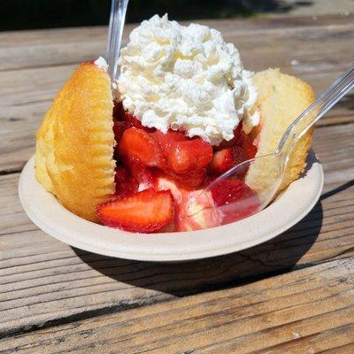 It's that time of the season, albeit a month later than normal...Fresh Oregon Strawberry Shortcake