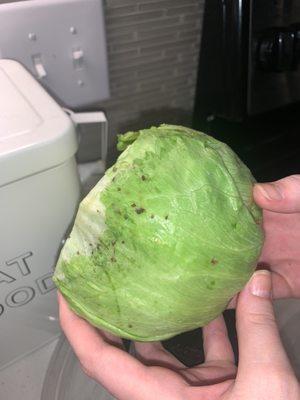 Ice burg lettuce