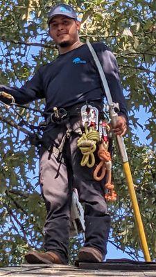 Woodland Tree Service