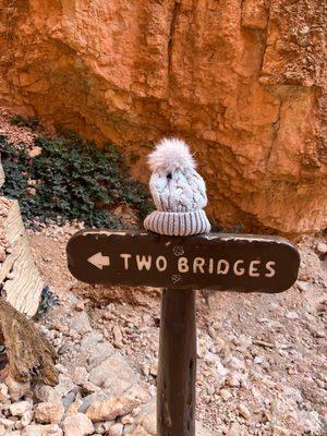 Two Bridges Bryce Canyon