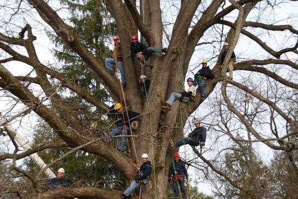 Our "Black Walnut" Crew!