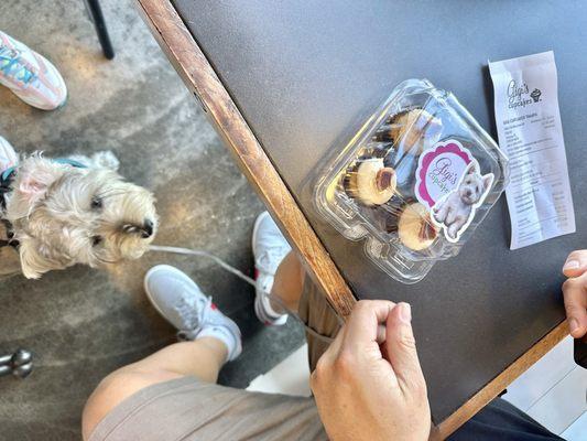 Doggy cupcake ! He loves it !