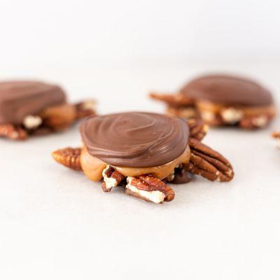 Milk Chocolate Pecan Paws