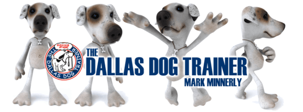 DDT Banner Dallas Dog Trainer Mark Minnerly