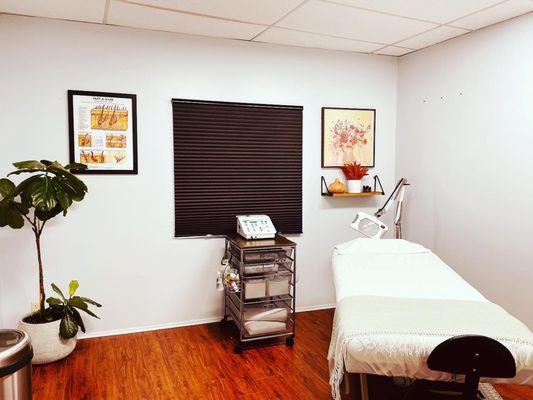 Electrolysis Treatment Room