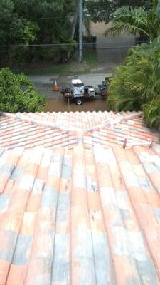 Soft wash roof cleaning