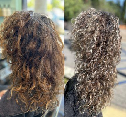 Grey blending highlights color correction ($249 per hour) by mikki