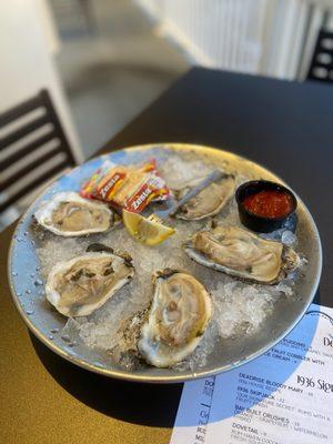 Oysters on the half shell.