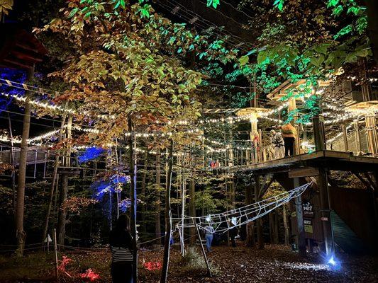 Go Ape! Frights at Heights