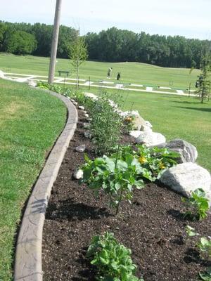 Be sure to check out our vegetable garden near the mini golf building and grab a snack!