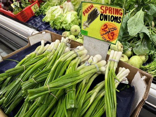 Look at the freshness of these spring onions, delish