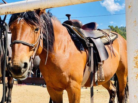 Sombrero Stables