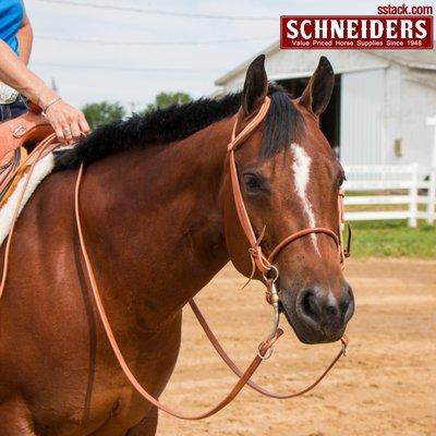 Find training tack from Schneider Saddlery at sstack.com!