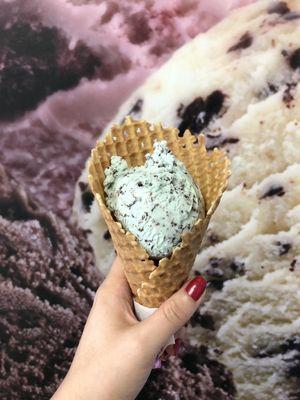 One scoop of Mint Chocolate Chip with the background of a big wall print of different kinds of soft serve ice cream.