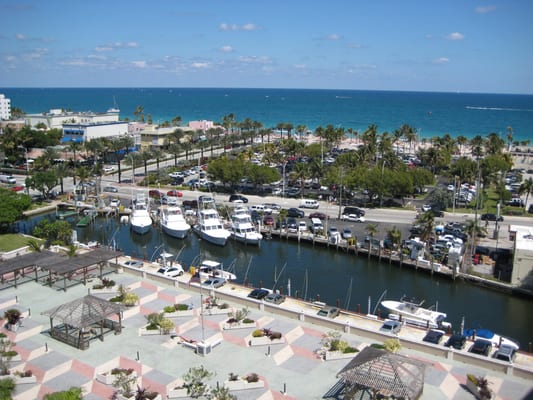 Arial View of the Marina