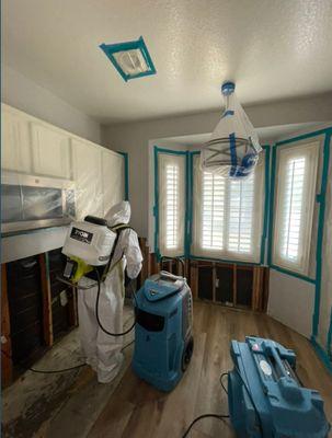 Mold Remediation