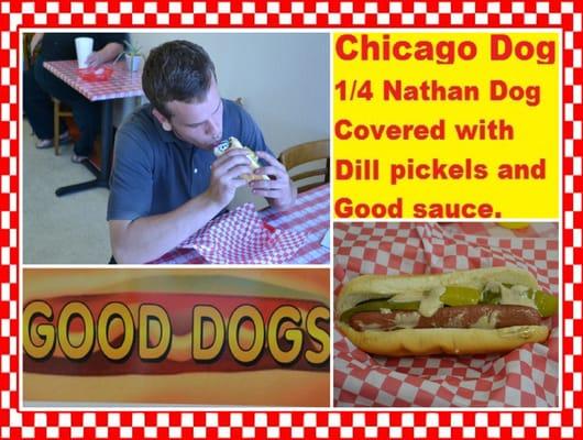 Chicago Dog