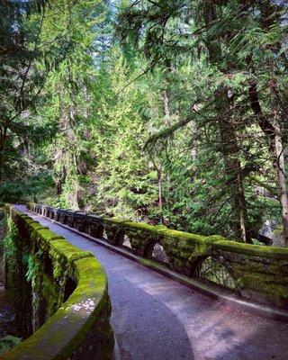 Lovely bridge along the trail with nice views of the falls