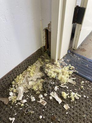 ANIMAL TRIED TO DIG OUT OF ROOM CAUSING CARPET AND DRYWALL DAMAGE.