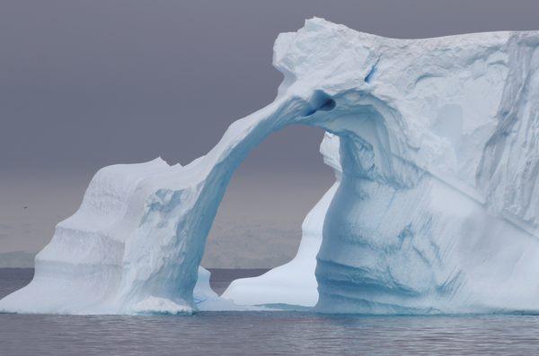 Antarctica, South Georgia & the Falkland Islands Expedition