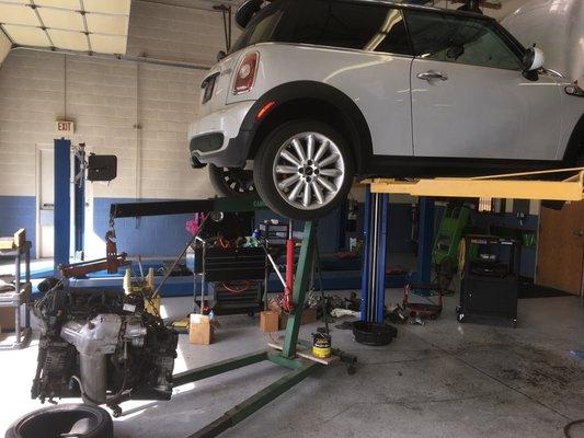 Replacing the engine on this 2010 Mini Turbo, Camden. 50th year Anniversary model.  Great little Mini!