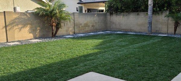 After, we had them install chicken wire under the sod to prevent digging.