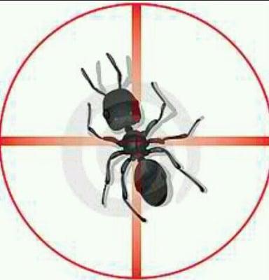 Target Pest Control