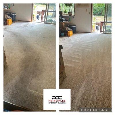 Steam carpet cleaning