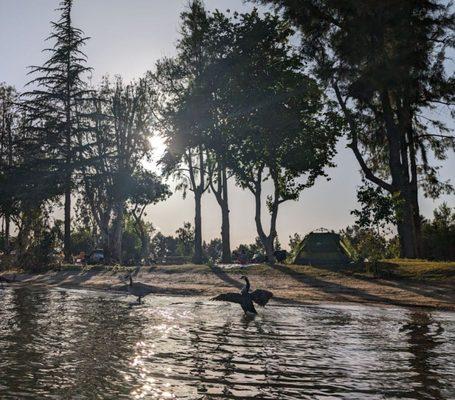 View of campsite from the water