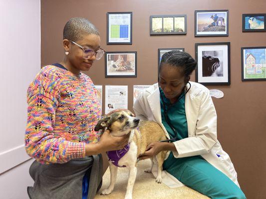 Ruth Onesixteen has her first exam at Allandale Veterinary Clinic