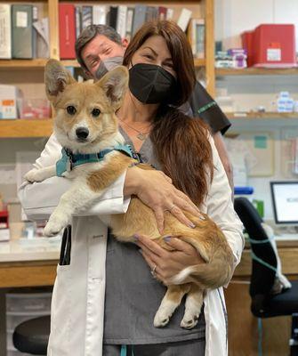 Dr. Bellers and Tom with the cutest corgi Korra.