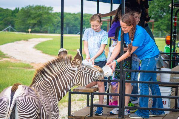 Weekend wagon rides are a great way to explore the Park!