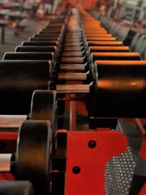 rows of dumbbells up to 200lbs