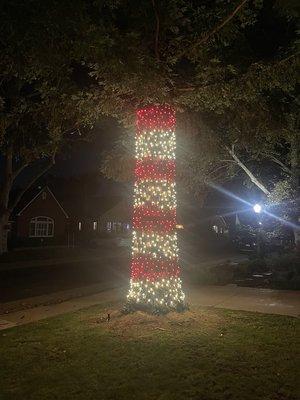 Candy Cane Tree Wrap