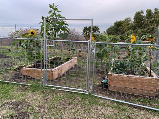 Fencing to protect your garden from deer