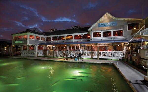 When you visit Lauderdale Marina, be sure to feed the giant tarpon that live under the docks beside 15th Street Fisheries restaurant!