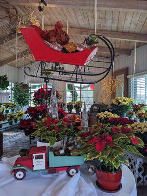 Poinsettias are here! 
 
 We have 9 different colors of beautiful varieties! (My fav is the Tapestry)