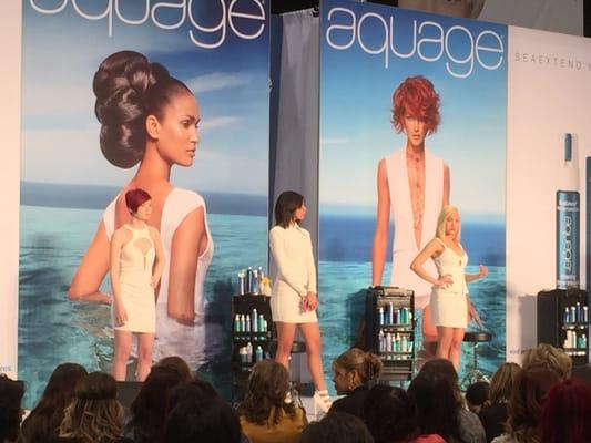 Aquage stage in Chicago