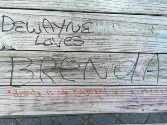 Apparently ppl gotta know (bench at the park)