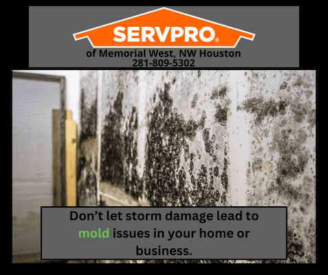 Don't let mold issues get out of hand, our IICRC certified team at SERVPRO is available 24/7.