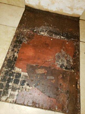 Ruined flooring due to poor installation of toilet by previous owner.