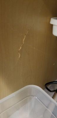 Wall and cabinets cracking