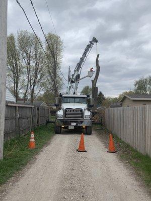 Family Tree Care Removing Tree with a Crane