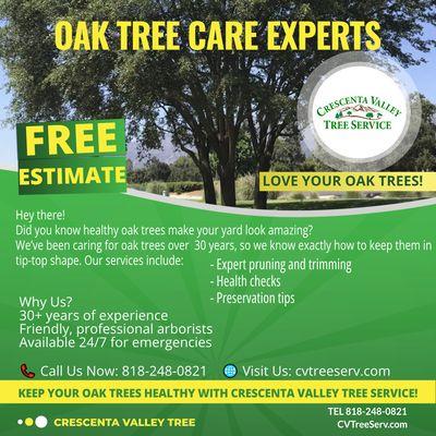 Oak Tree Care, Crescenta Valley Tree Services