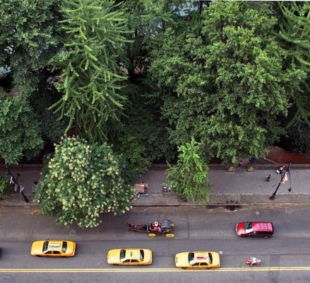 Central Park Views