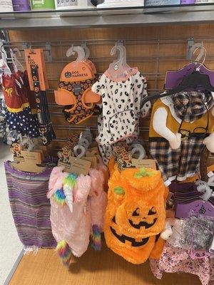 Dog costumes