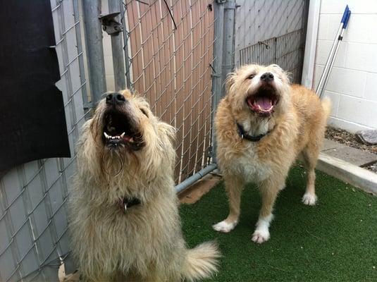 Fiona & Dalton are all smiles here!